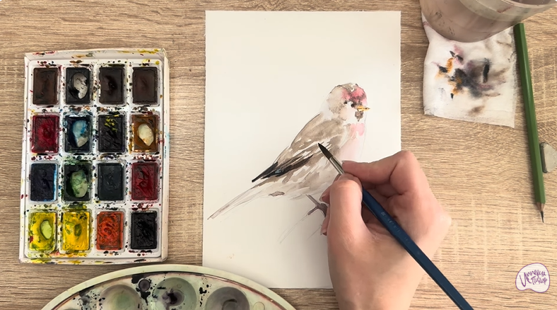 Рисуем Обыкновенная чечётка