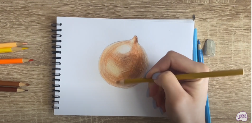 Рисуем Луковица