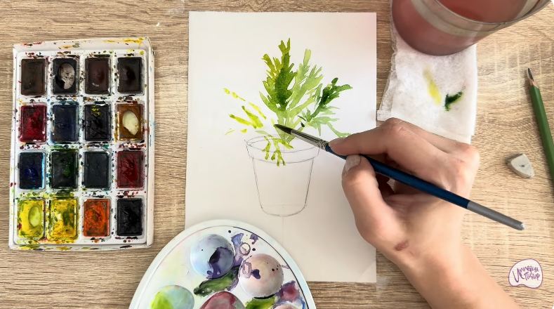 Рисуем Криптомерия японская