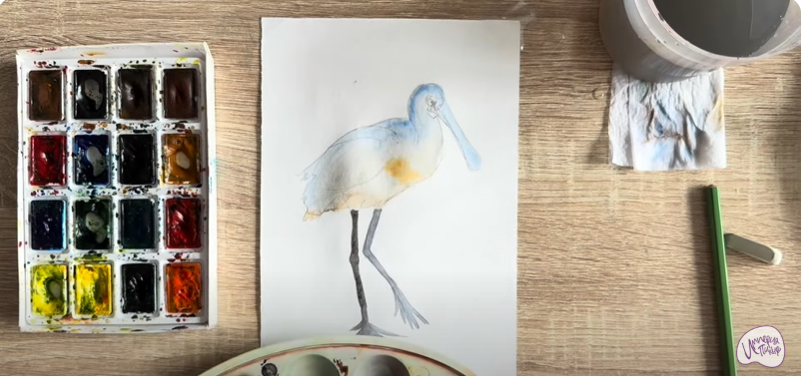 Рисуем Колпица Рисуем Колпица