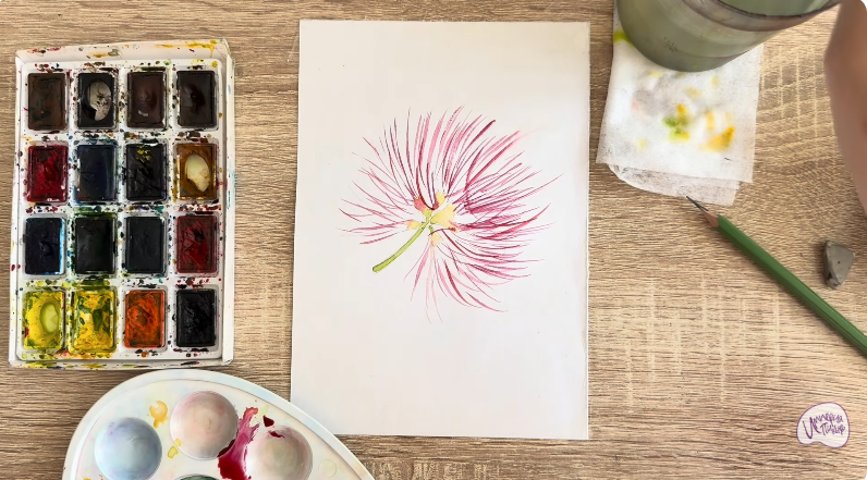 Рисуем Альбиция