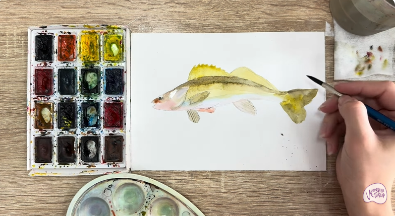 Рисуем Берш