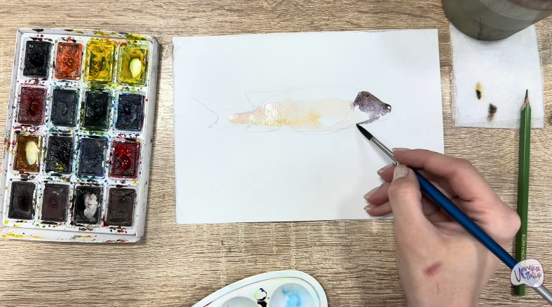 Рисуем Чернокрапчатый ворчун