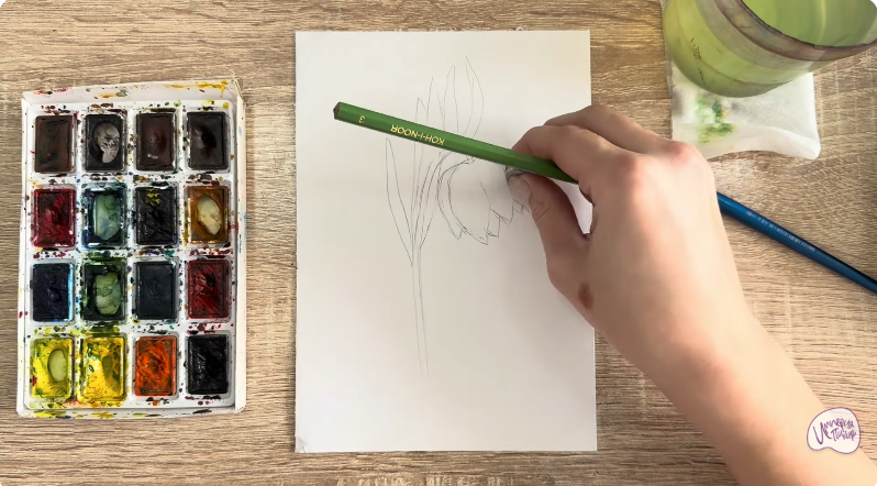 Рисуем Желтый рябчик