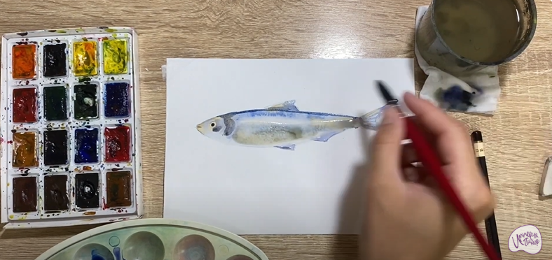 Рисуем Салака