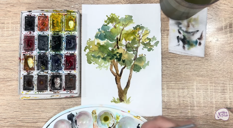 Рисуем Бархат амурский