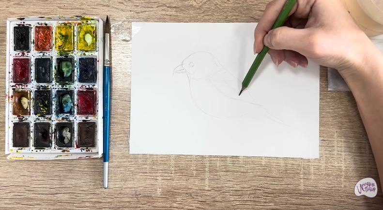 Рисуем Клест - еловик