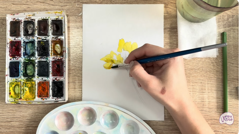 Рисуем Чина луговая