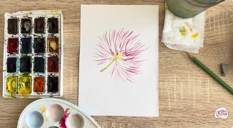 Рисуем Альбиция