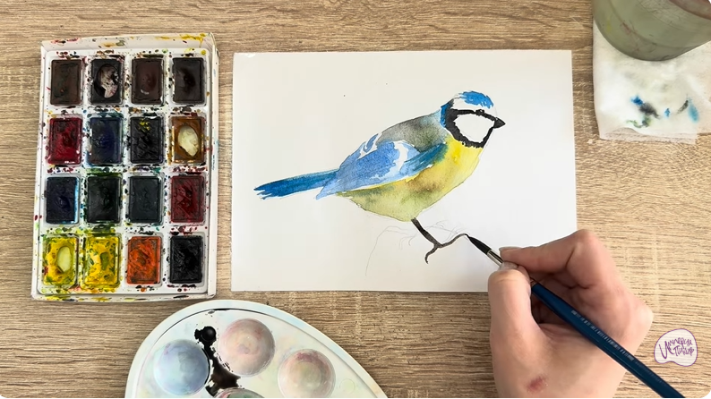 Рисуем Обыкновенная лазоревка