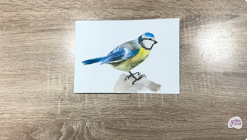 Рисуем Обыкновенная лазоревка