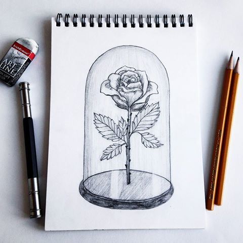 Рисуем Рисунки черной ручкой