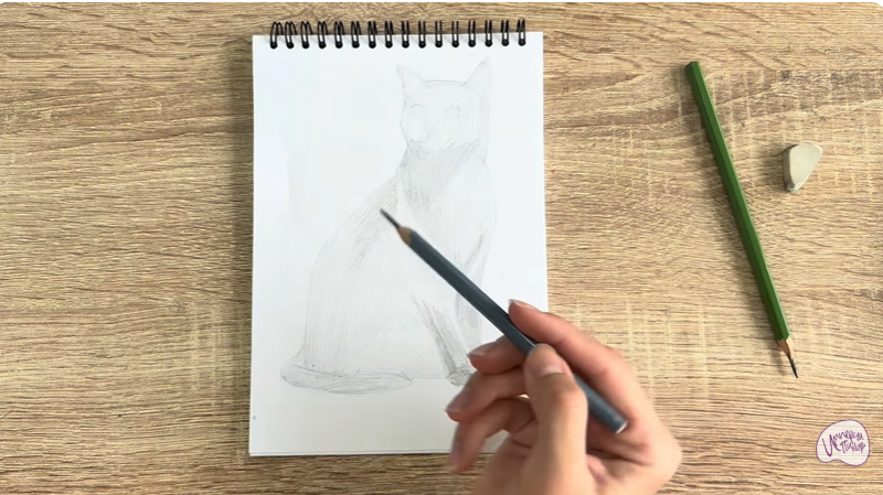 Рисуем Бурманский кот Рисуем Бурманский кот