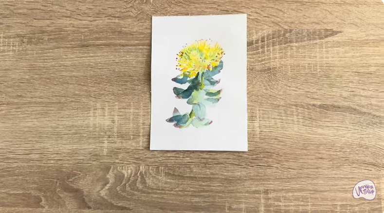 Рисуем Радиола розовая