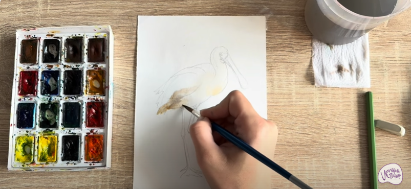 Рисуем Колпица Рисуем Колпица