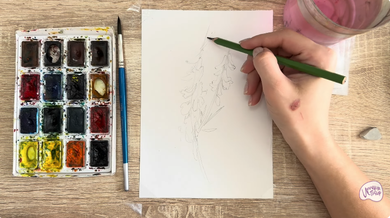 Рисуем Мышиный горошек