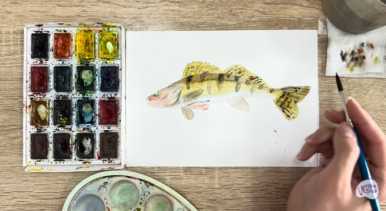 Рисуем Берш