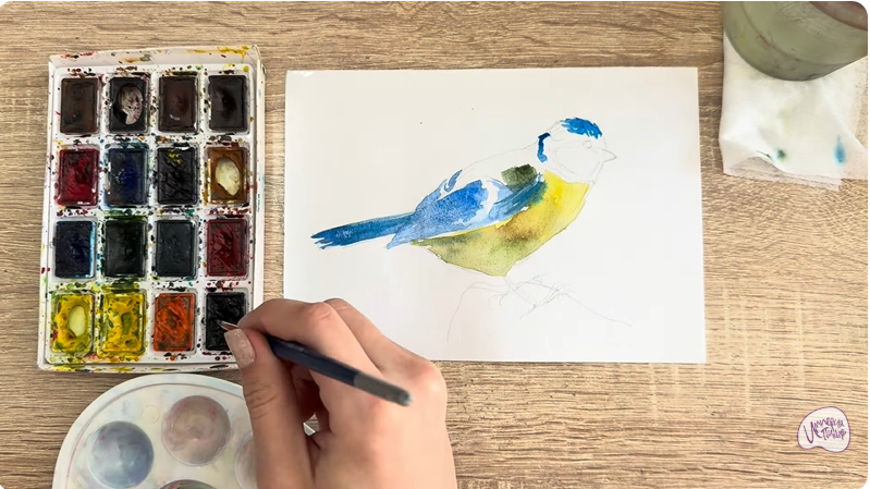 Рисуем Обыкновенная лазоревка