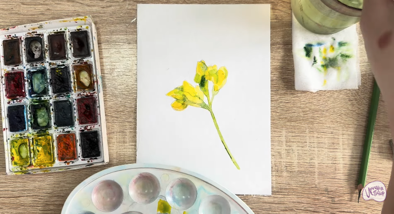 Рисуем Чина луговая