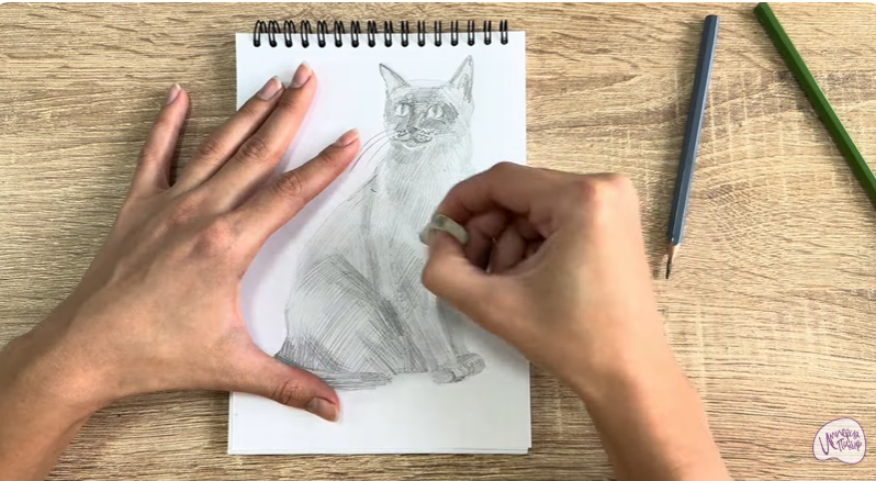 Рисуем Бурманский кот Рисуем Бурманский кот