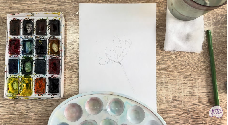 Рисуем Чина луговая