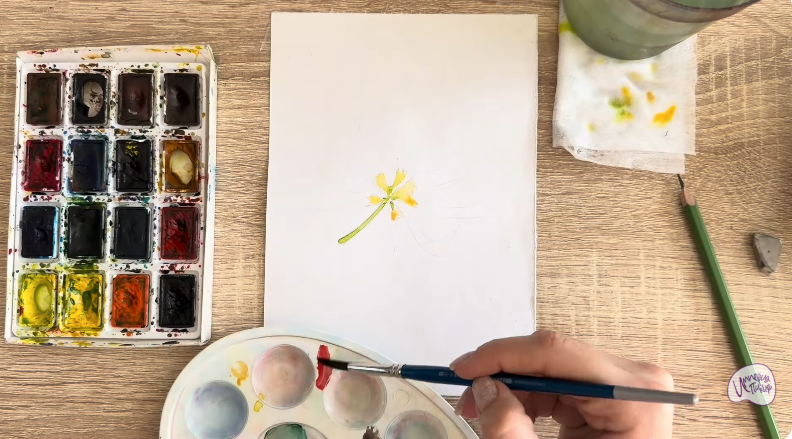 Рисуем Альбиция