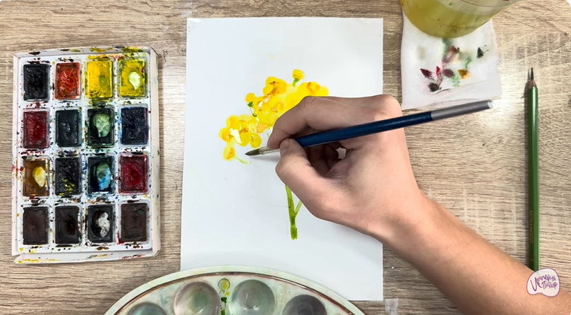 Рисуем Пижма