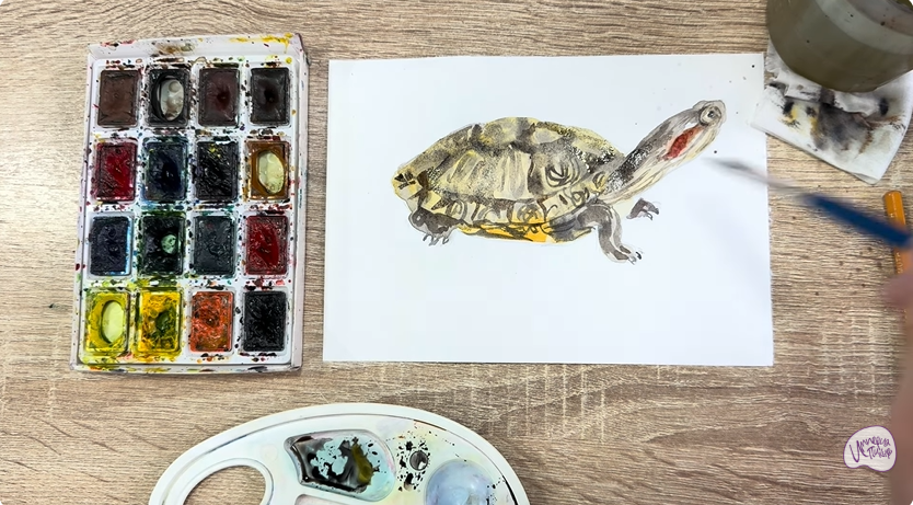 Рисуем Красноухая черепаха