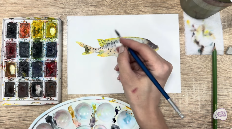 Рисуем Чернокрапчатый ворчун