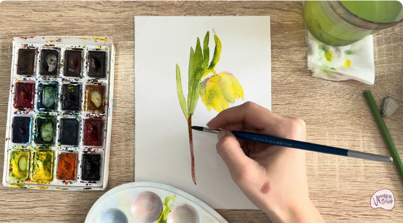 Рисуем Желтый рябчик