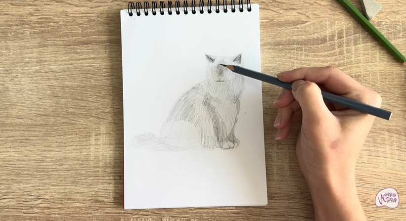 Рисуем Кошка породы Рэгдолл