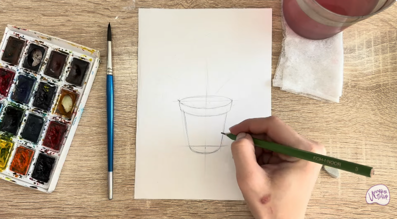 Рисуем Криптомерия японская