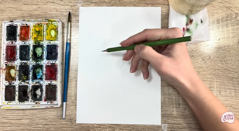 Рисуем Пижма