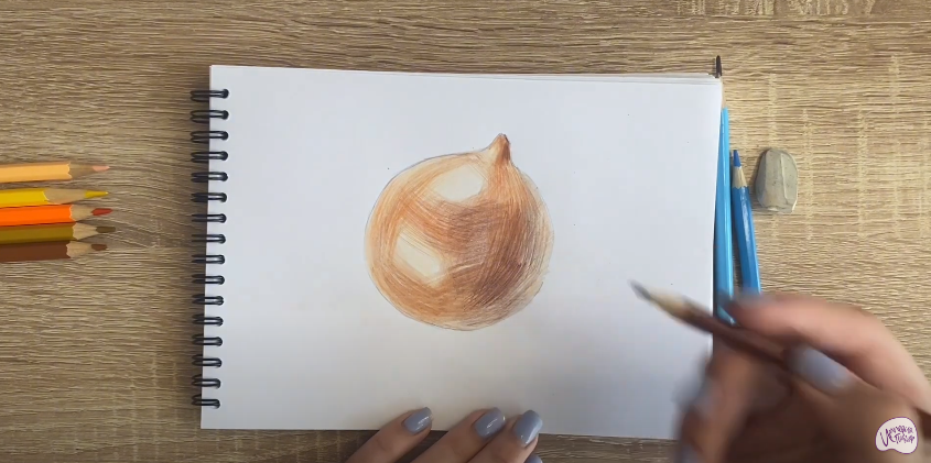 Рисуем Луковица