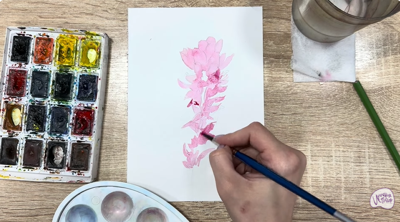 Рисуем Мирикария лисохвостая