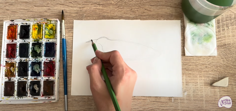 Рисуем Выпь Рисуем Выпь