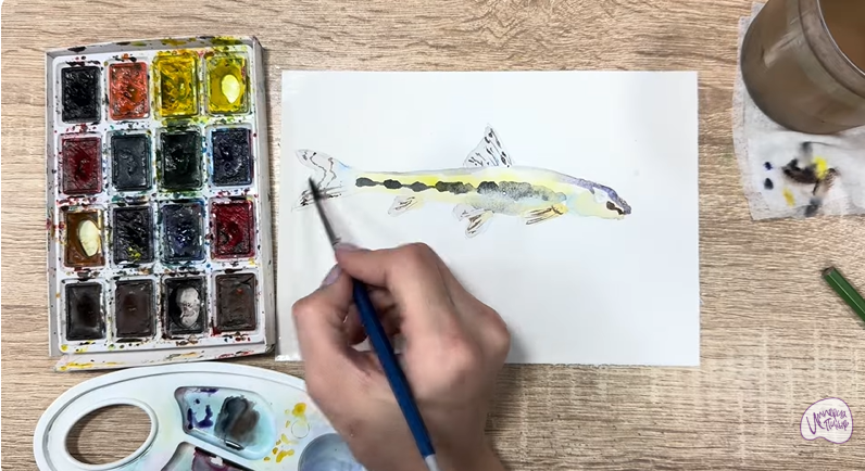 Рисуем Ленский пескарь