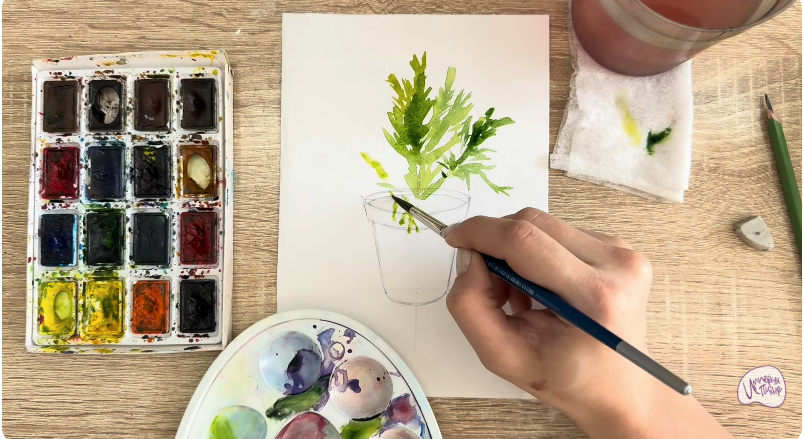 Рисуем Криптомерия японская