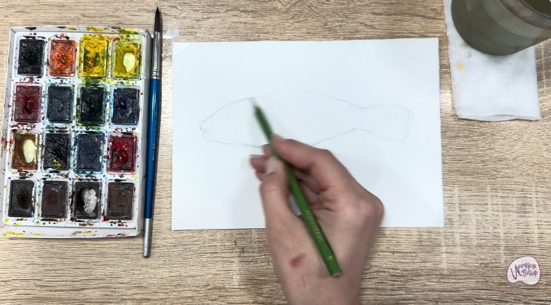 Рисуем Аротрон звёздчатый