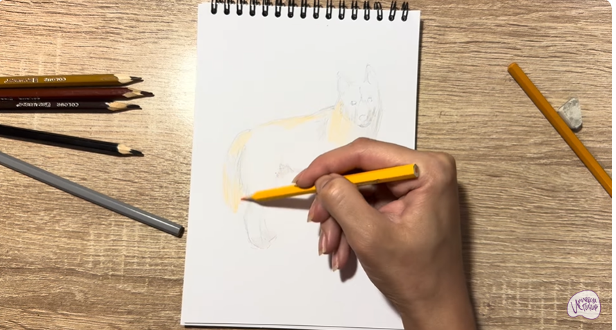 Рисуем Динго