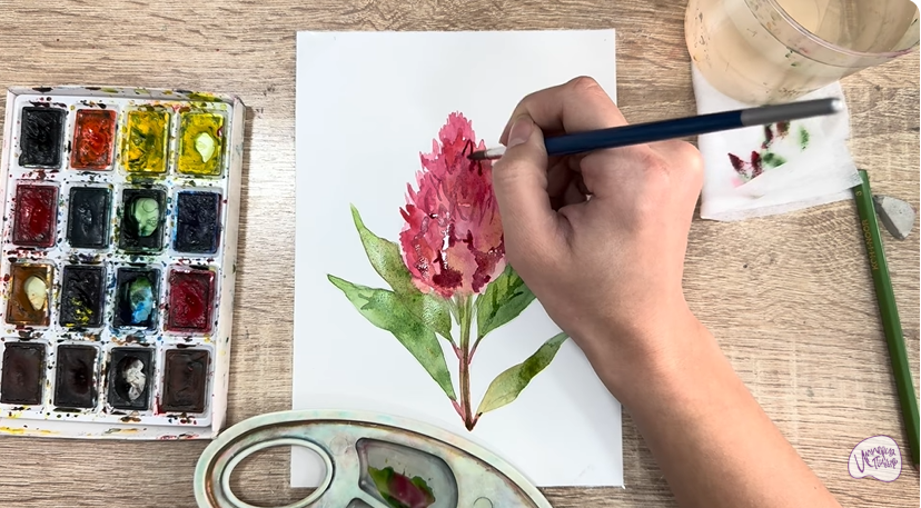 Рисуем Целозия