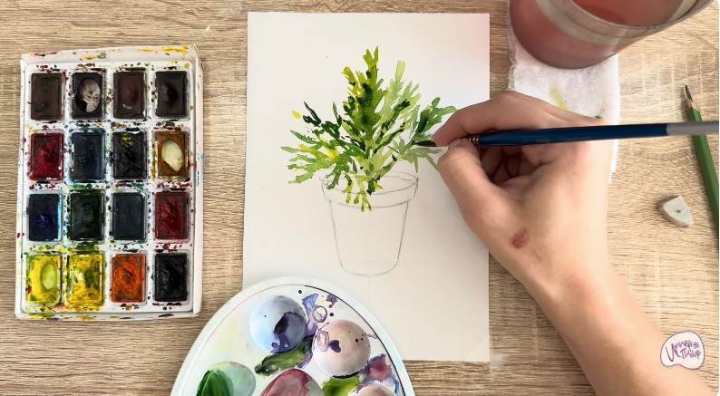 Рисуем Криптомерия японская