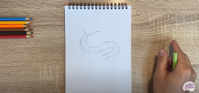 Рисуем Сороконожка