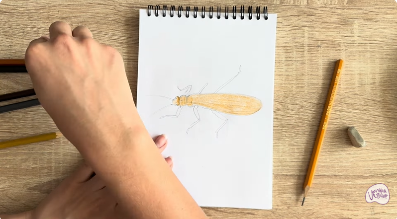 Рисуем Веснянка