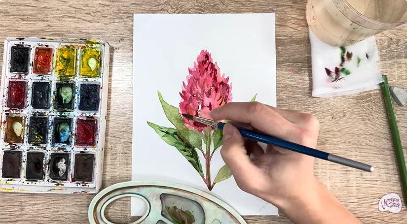 Рисуем Целозия