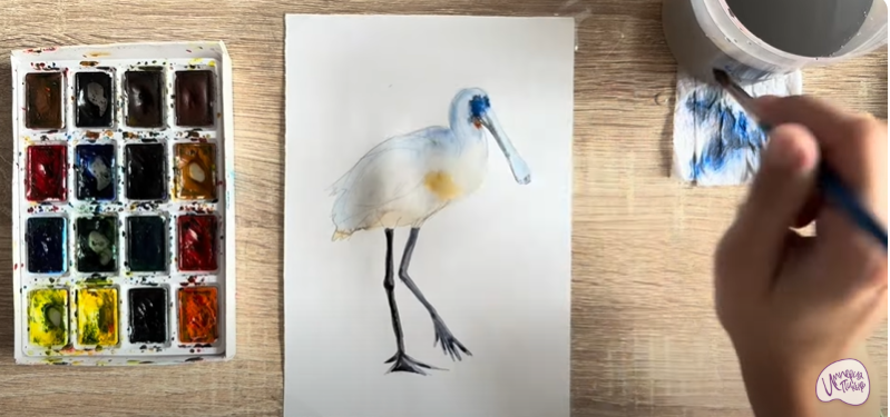 Рисуем Колпица Рисуем Колпица