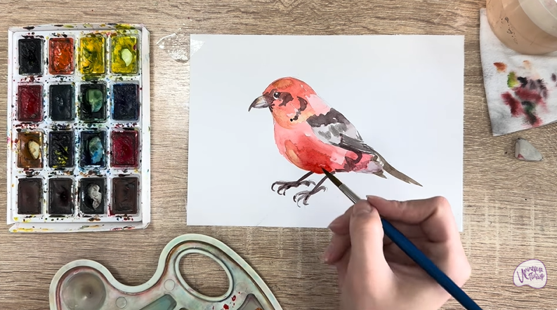 Рисуем Клест - еловик