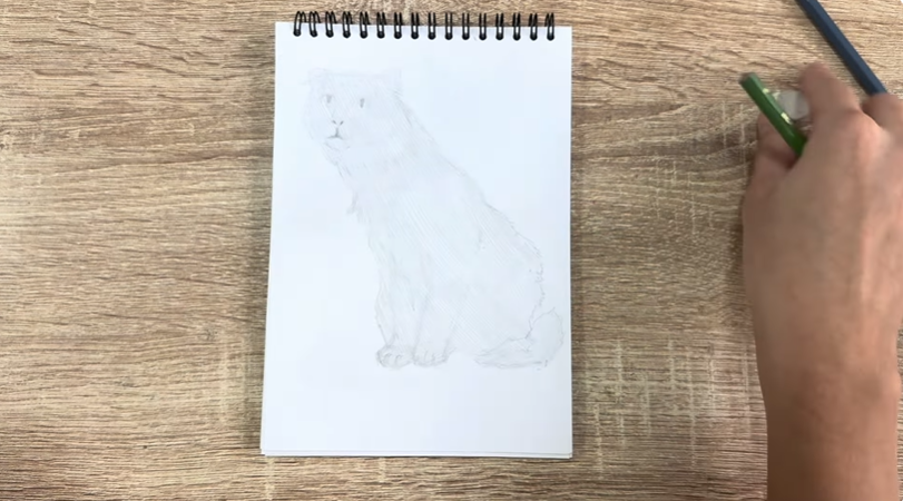 Рисуем Американский кёрл Рисуем Американский кёрл