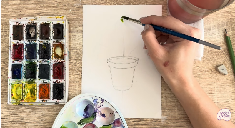 Рисуем Криптомерия японская