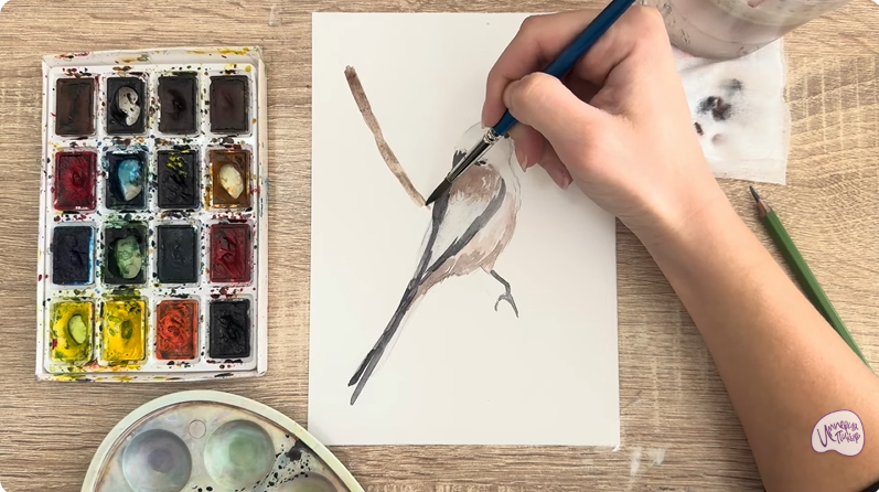 Рисуем Длиннохвостая синица